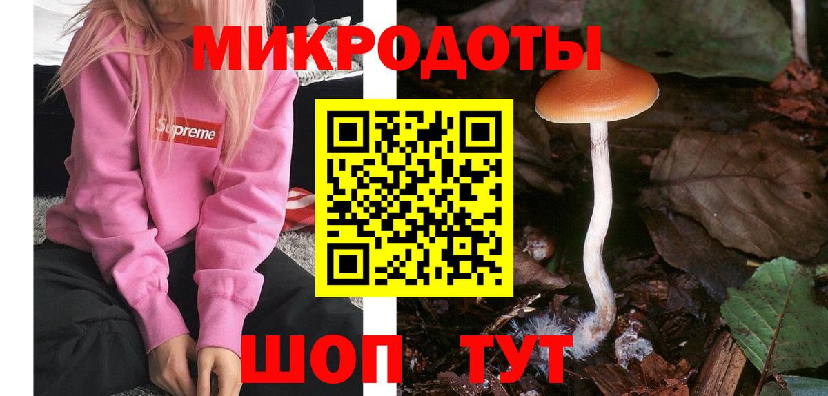 Галлюциногенные грибы Magic Shrooms Псков