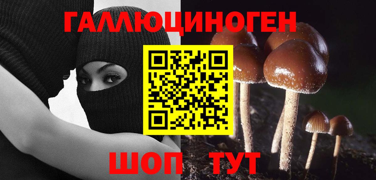 Псилоцибиновые грибы ЛСД  Псилоцибиновые грибы мухоморы  Вход с VPN  Псков 